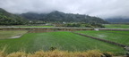 Taiwan